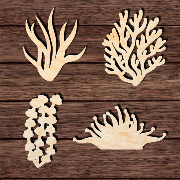 Coral & Seaweed