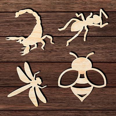 Bugs & Insects