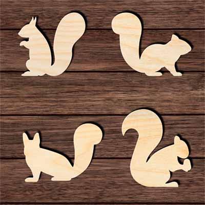 Squirrels