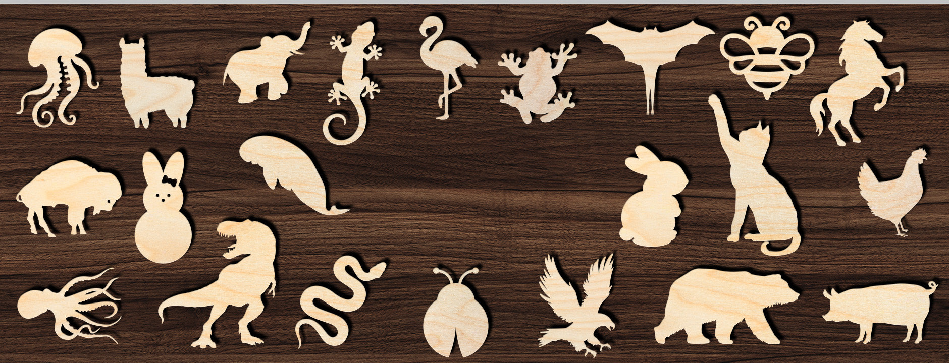 Signature Cutouts